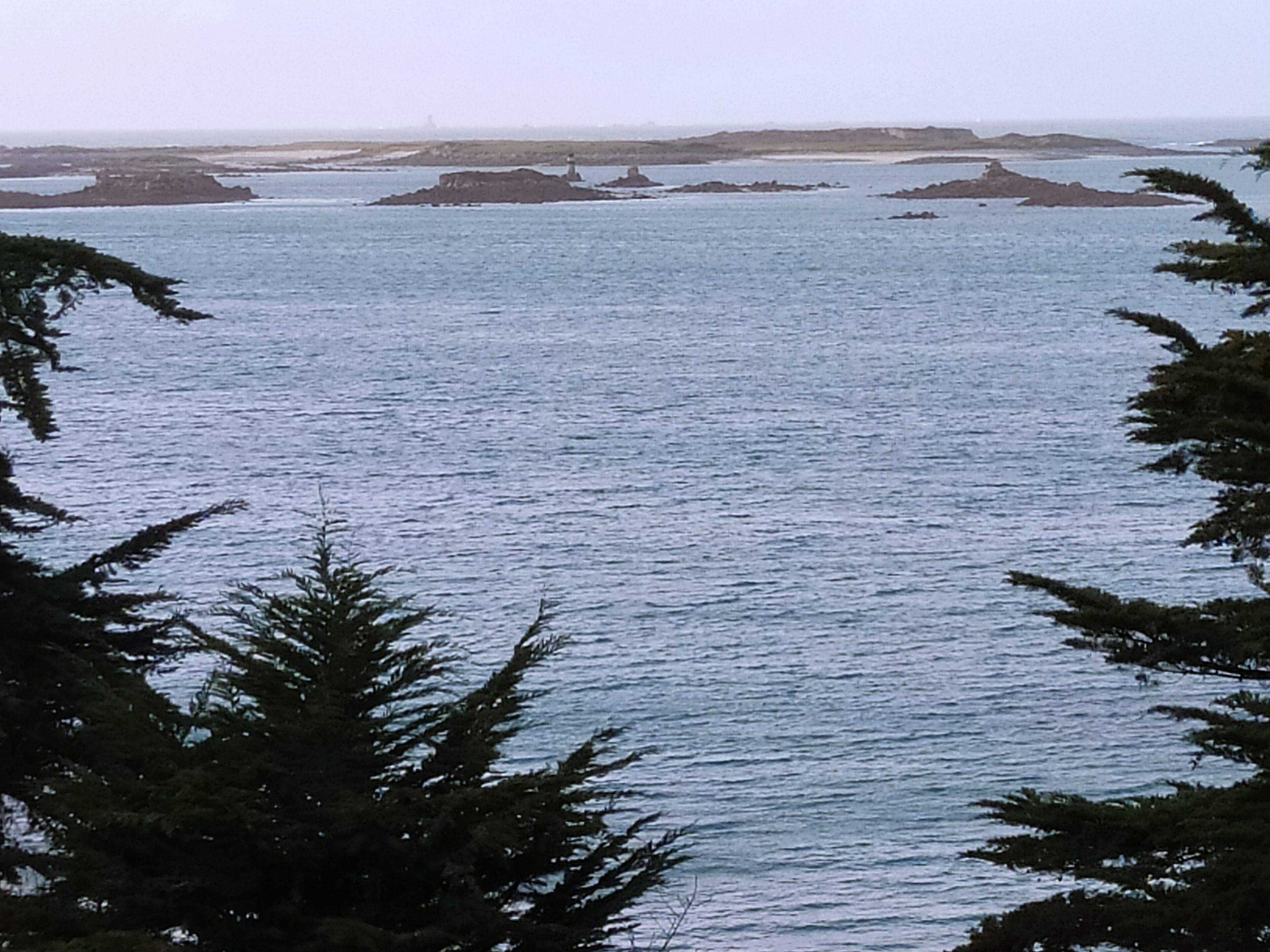 A coastal view with calm waters, rocky outcrops, and dense coniferous trees framing the scene.