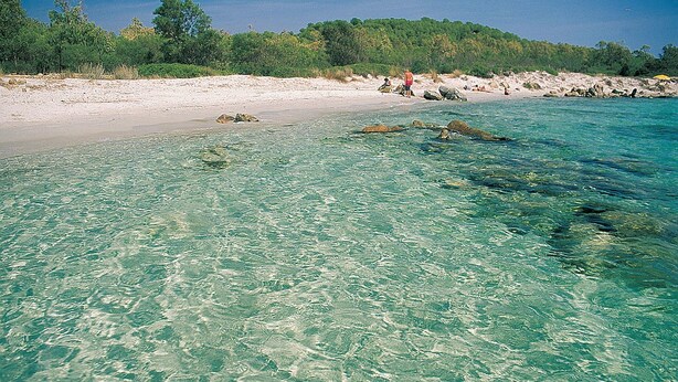 A beach with clear turquoise water, sandy shore, and greenery in the background. - Appartamenti Le Carrube vicini al mare (San Teodoro)