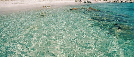 Bãi biển