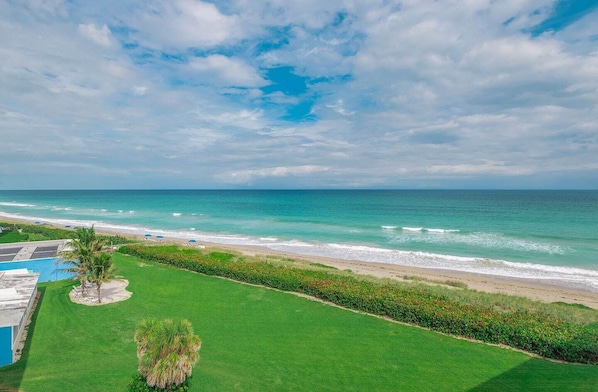 A coastal view with a beach, ocean, and a well-maintained lawn with a pool and palm trees.