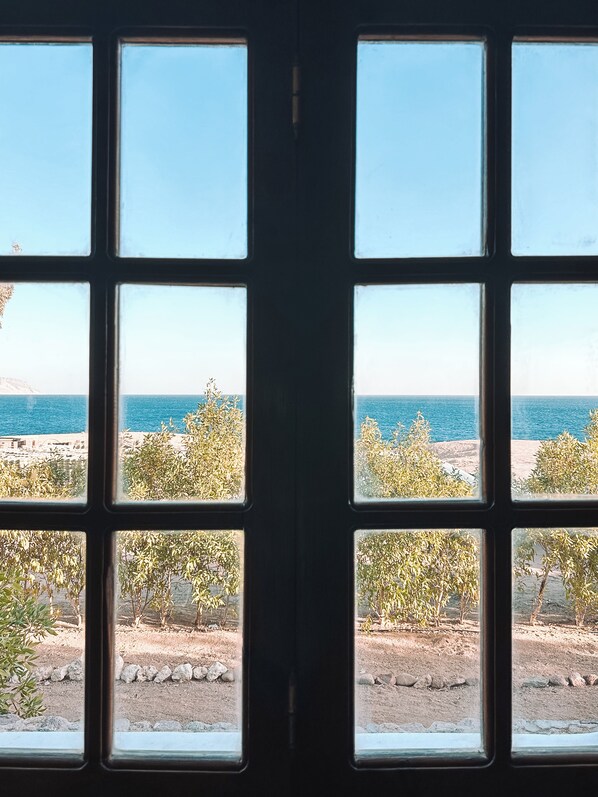 Vista desde la habitación