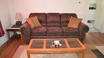 Smart TV, DVD player, books, video library