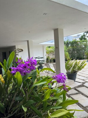 Exterior detail - villa con vista a la montana,a poco minutos de la playa, en republica dominicana (Puerto Plata)