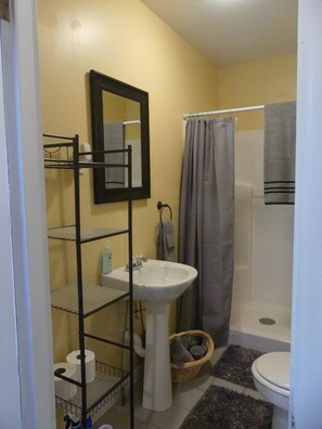 Shower, hair dryer, towels, soap