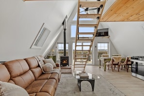 Smart TV, fireplace, DVD player, video library