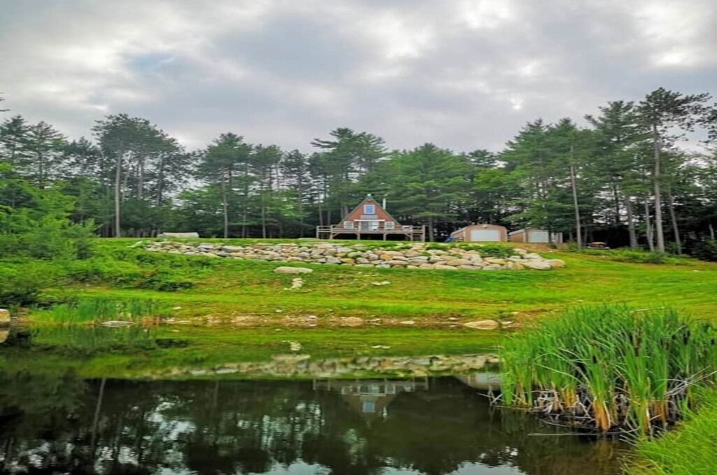 A cabin with a stone foundation, surrounded by a pond and dense forest.
