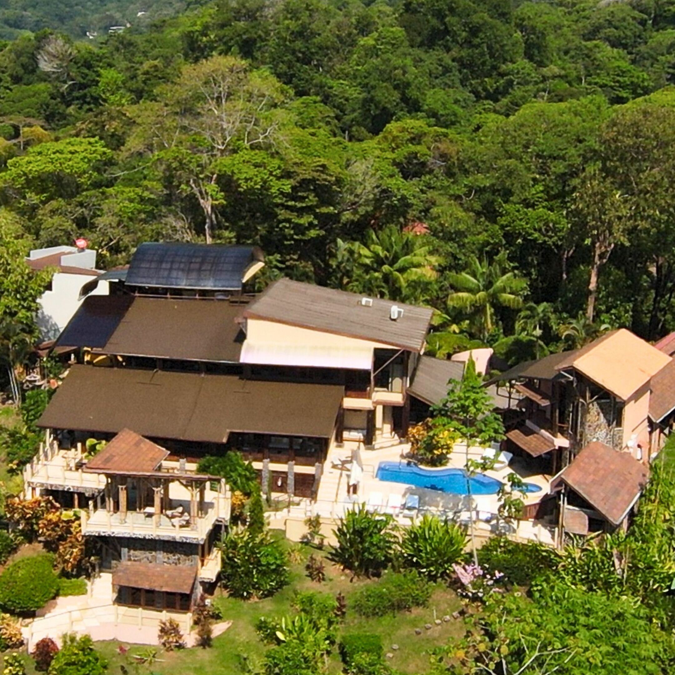 A residential area with multiple houses, a swimming pool, and lush greenery.