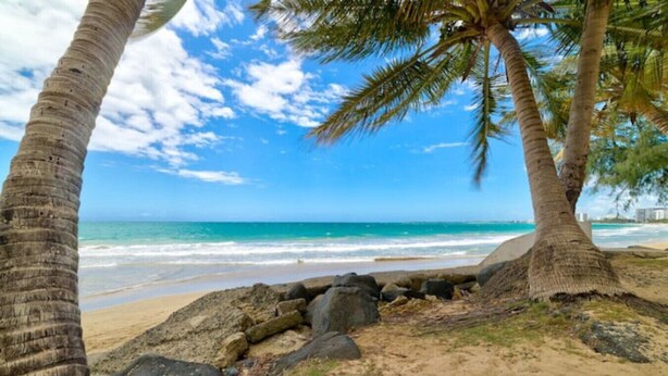 A beach with palm trees, a rocky shoreline, and a clear blue sky. - Beachfront Cozy Loft  Walk 2 Eat Isla Verde Beach (Carolina)