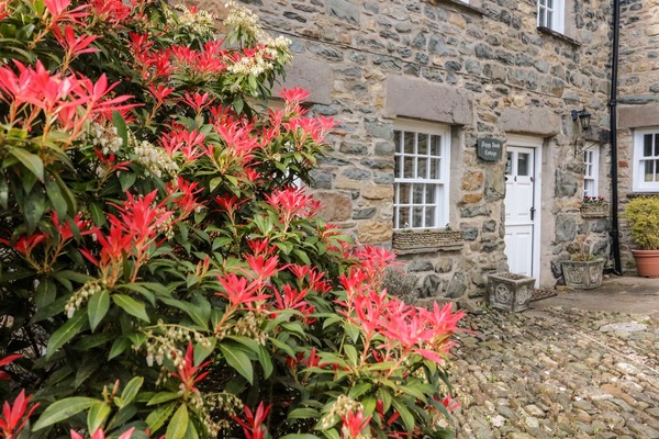 Cottage | Exterior detail