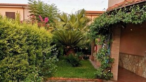 Un patio con un sendero de piedra que lleva a un edificio. Varias plantas y una palmera se encuentran en el centro.