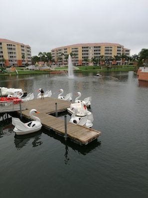 Unclassified image, 3 of 6, button