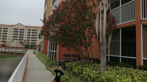 A hotel with a water canal, a palm tree, and a person walking on the sidewalk. - Westgate Vacation Villas Resort (Kissimmee)