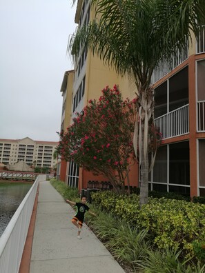 Unclassified image, 2 of 6, button