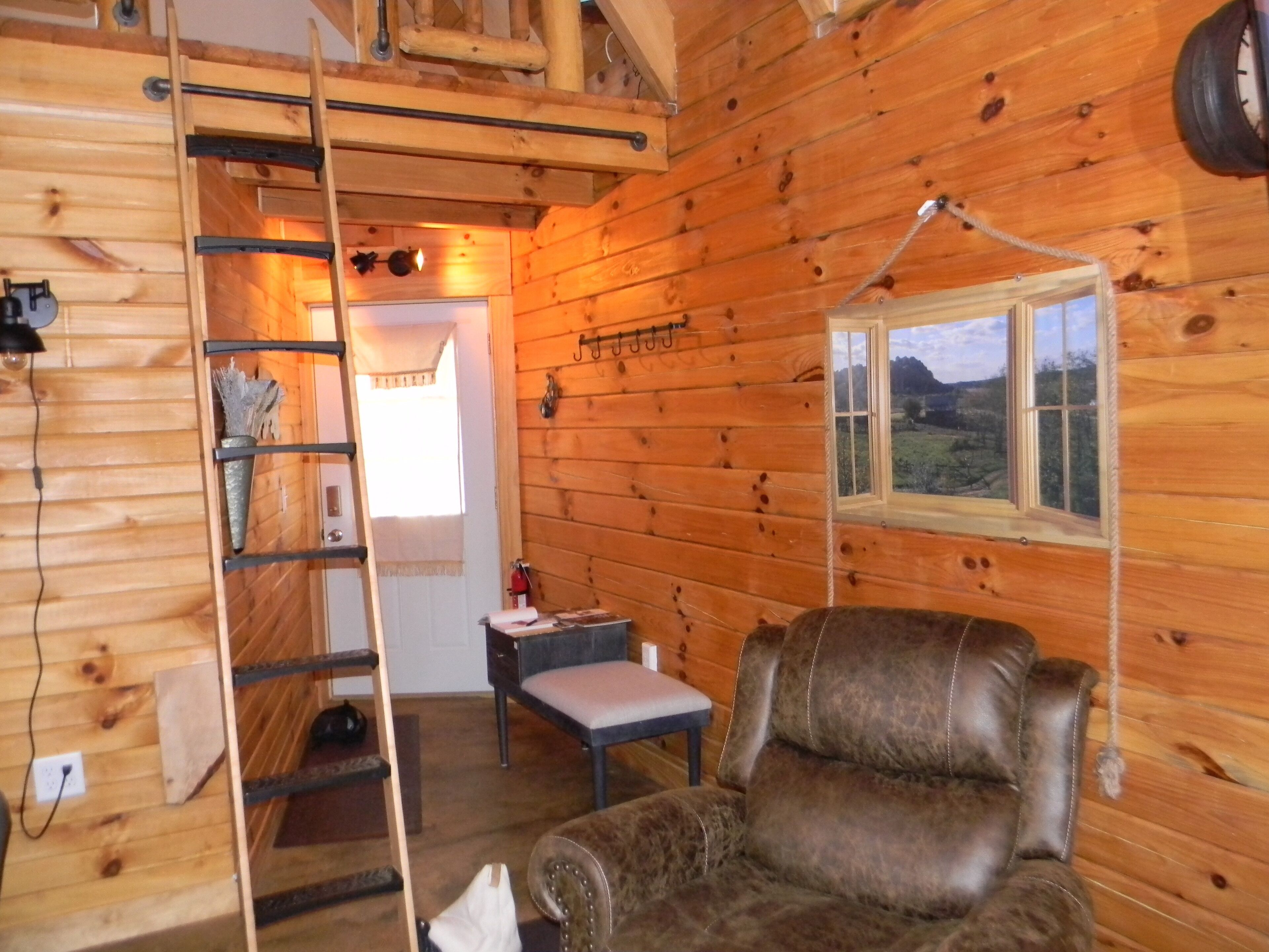 Smart TV, fireplace, DVD player, books