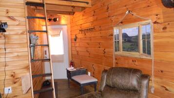 Smart TV, fireplace, DVD player, books