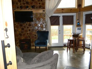 Smart TV, chimenea, reproductor de DVD y libros 