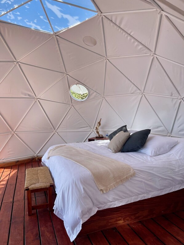 1 chambre