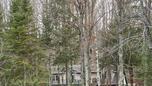 A cabin with a dock extending into a calm lake, surrounded by dense trees and a small dock chair. - Riverbend Retreat with Hot Tub (Traverse City)
