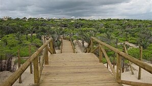 A wooden boardwalk leading through a dense, green landscape with a cloudy sky above. - Cosy Bright & Neat Apartment with Sea View, Shared Pool & Wi-Fi (Guardamar del Segura)