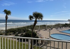 Property grounds - Crescent Beach Retreat- Fully updated 2 BR/2BA  Direct ocean views in Coquina! (St. Augustine)