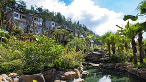 Un jardín tranquilo con un estanque, abundante vegetación y un edificio de varios pisos al fondo.