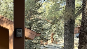 Un espacio al aire libre rústico con un sendero de piedra, bancos de madera y un árbol.