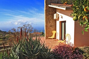 A house with a stone exterior, a door, and a window. There are plants and a chair outside.