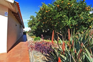 Oklassificerad bild, 3 av 27, knapp