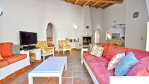 تلفزيون ذكي، مشغل دي في دي