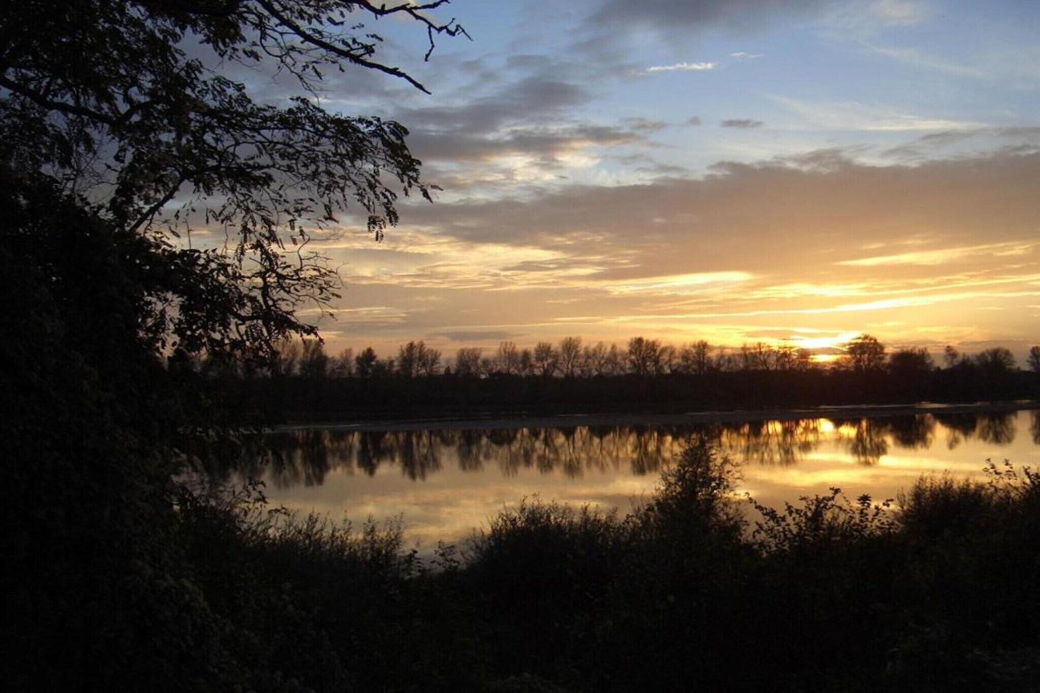 A tranquil lakeside view at sunset with trees and a clear sky.