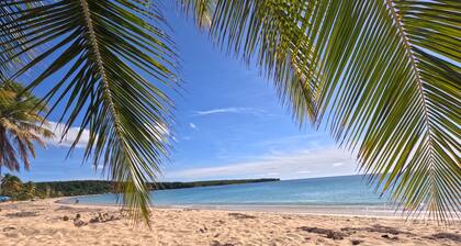 Starfish Beach Penthouse, Tortuga Properties