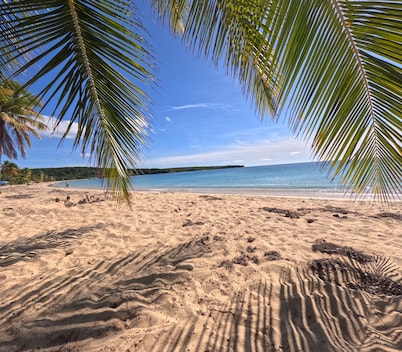 Starfish Beach Penthouse, Tortuga Properties