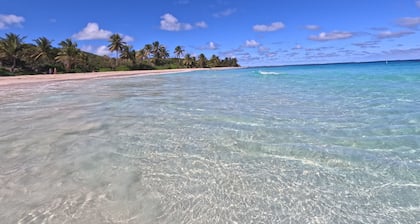 Starfish Beach Penthouse, Tortuga Properties