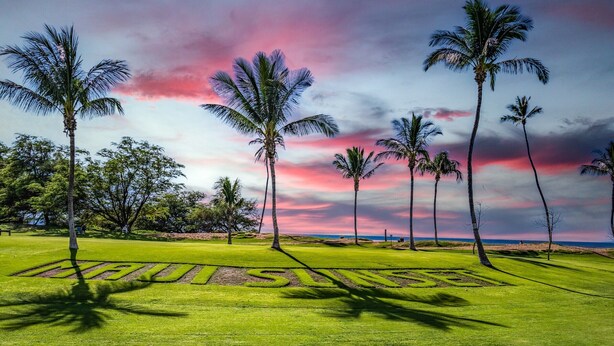 Um campo de golfe em cenário tropical, com palmeiras e céu claro.