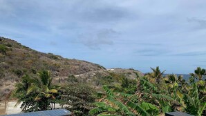 A coastal landscape with a view of the sea, a hilly terrain, and tropical vegetation including palm trees. - Apartment Beatitudo  (Point Blanche)