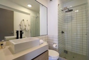 Ducha, secador de pelo y toallas