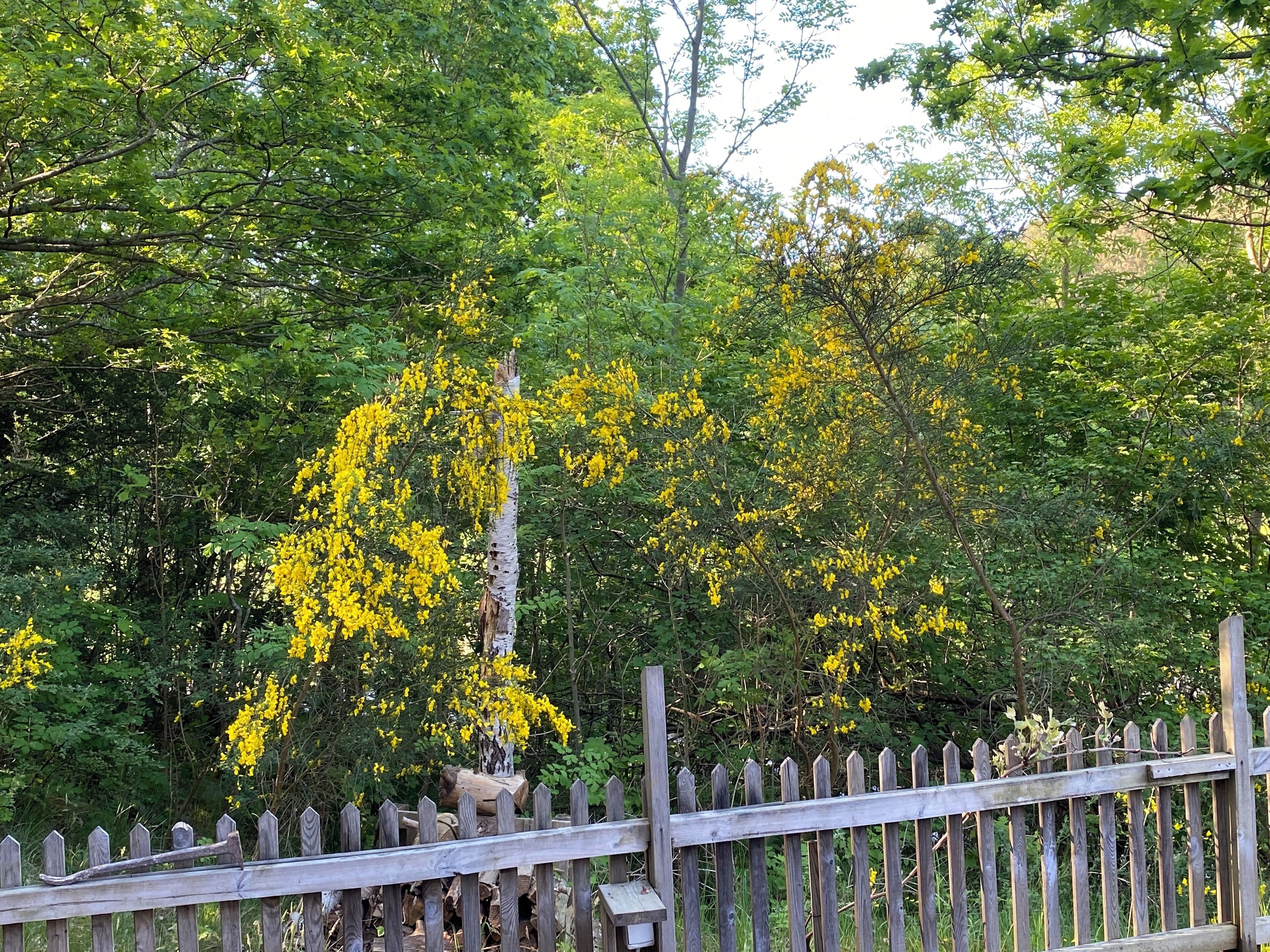 2 sovrum, skrivbord, resesäng och gratis wi-fi