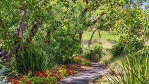 A gravel pathway surrounded by lush greenery and flowering plants. - Bellarine Lake House Ocean Grove (Ocean Grove)