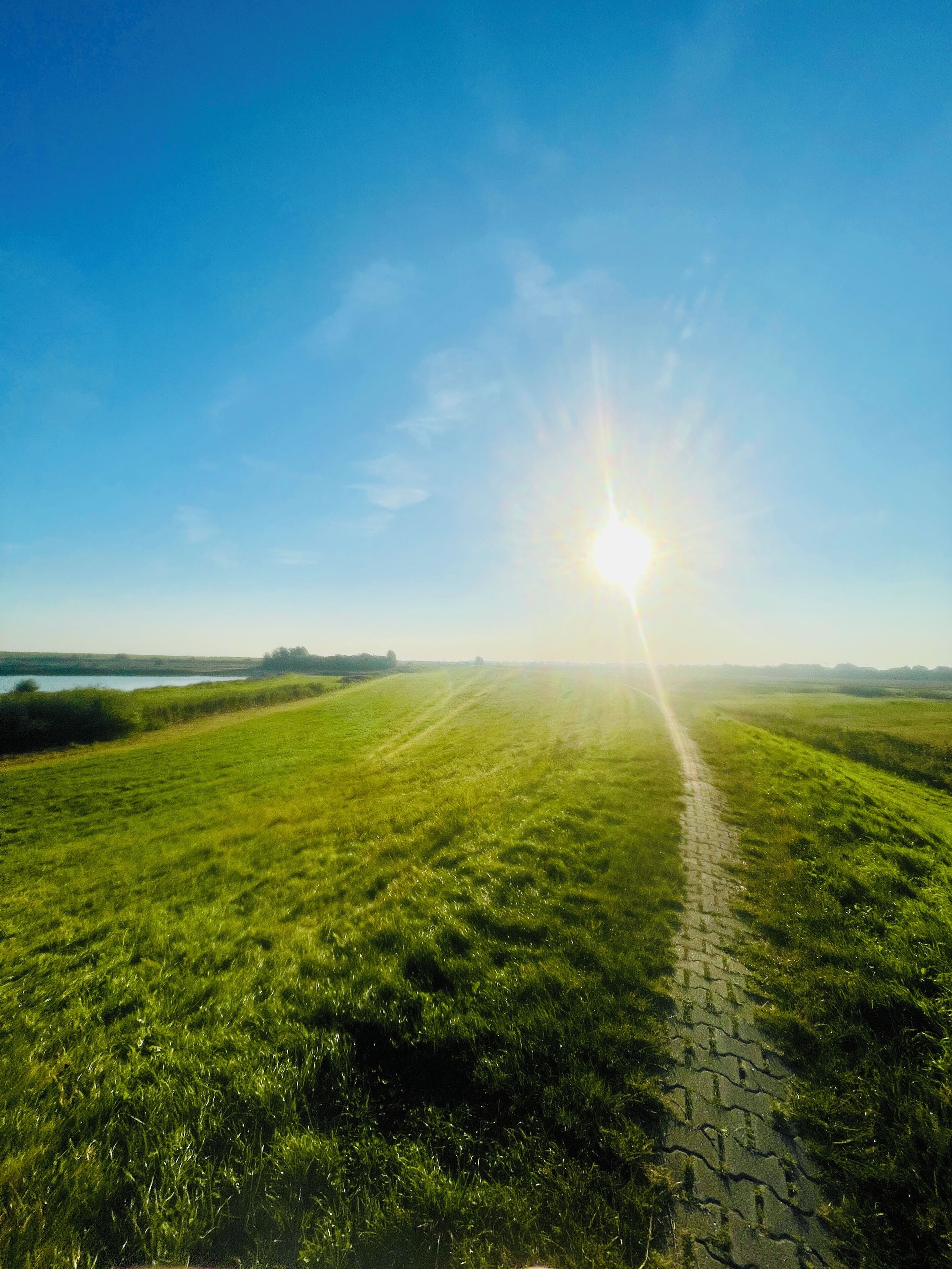 A wide, open field with a clear sky and a bright sun low on the horizon.
