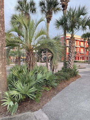 A street lined with palm trees and a red building with balconies.