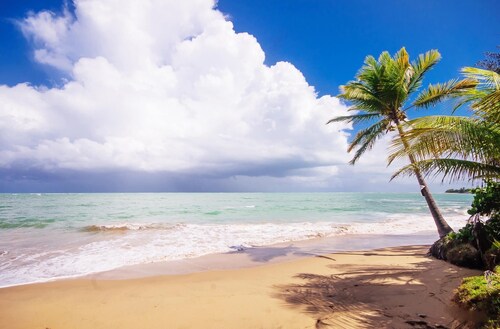 Beachfront Paradise Resort Villa near San Juan