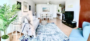 Smart TV, DVD player, books, stereo