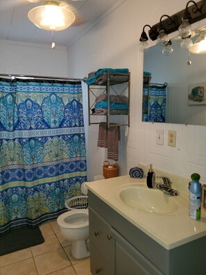 Ensemble douche/baignoire, sèche-cheveux, serviettes fournies, savon