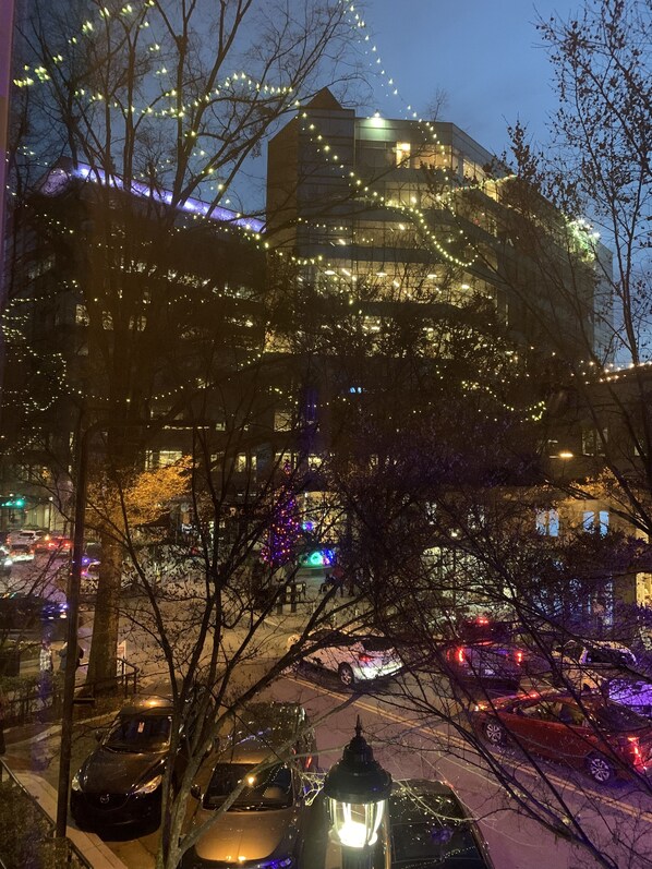 A building with multiple floors, surrounded by trees and decorated with string lights.