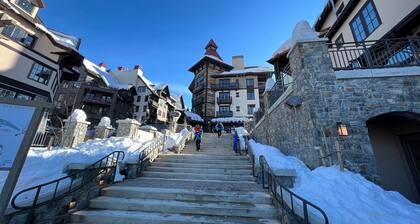 McCall ski cabin with vintage vibes and modern amenities, pet friendly 🌲