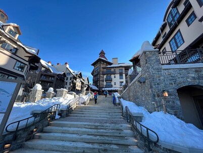 McCall ski cabin with vintage vibes and modern amenities, pet friendly 🌲