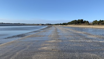 Accommodatie ligt op het strand