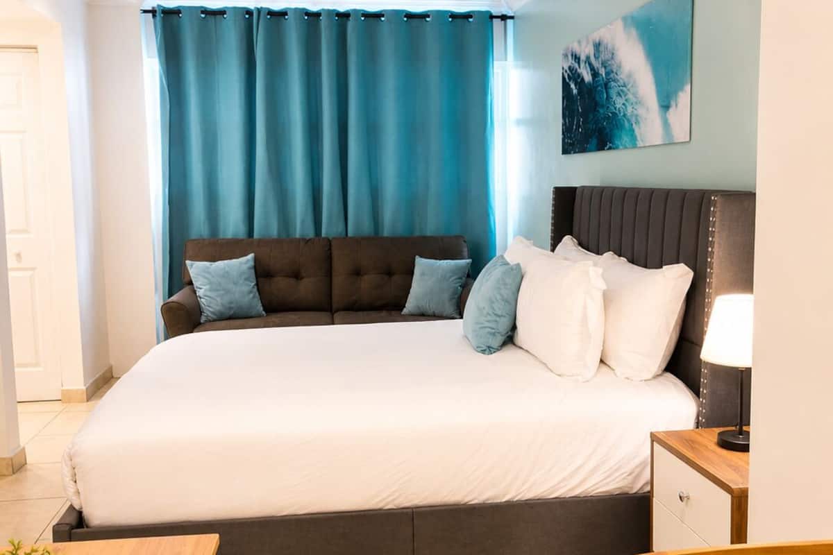 Basic Studio, 1 Queen Bed with Sofa bed