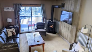 Smart TV, fireplace, books