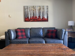 TV connectée, cheminée, livres